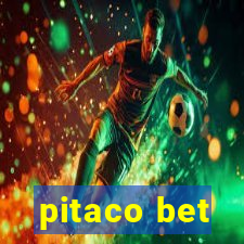 pitaco bet